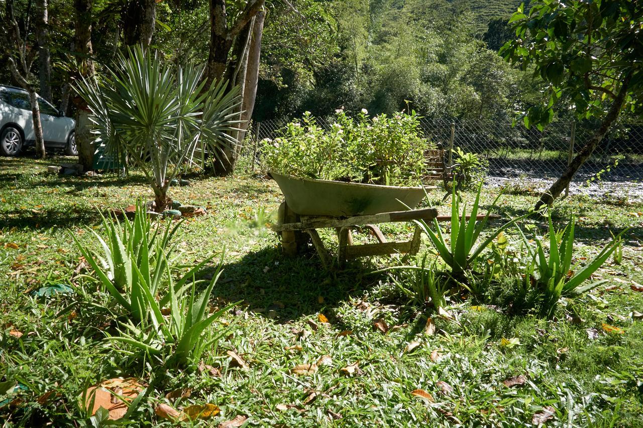 Campestre La Gaitana 2* Tobia
