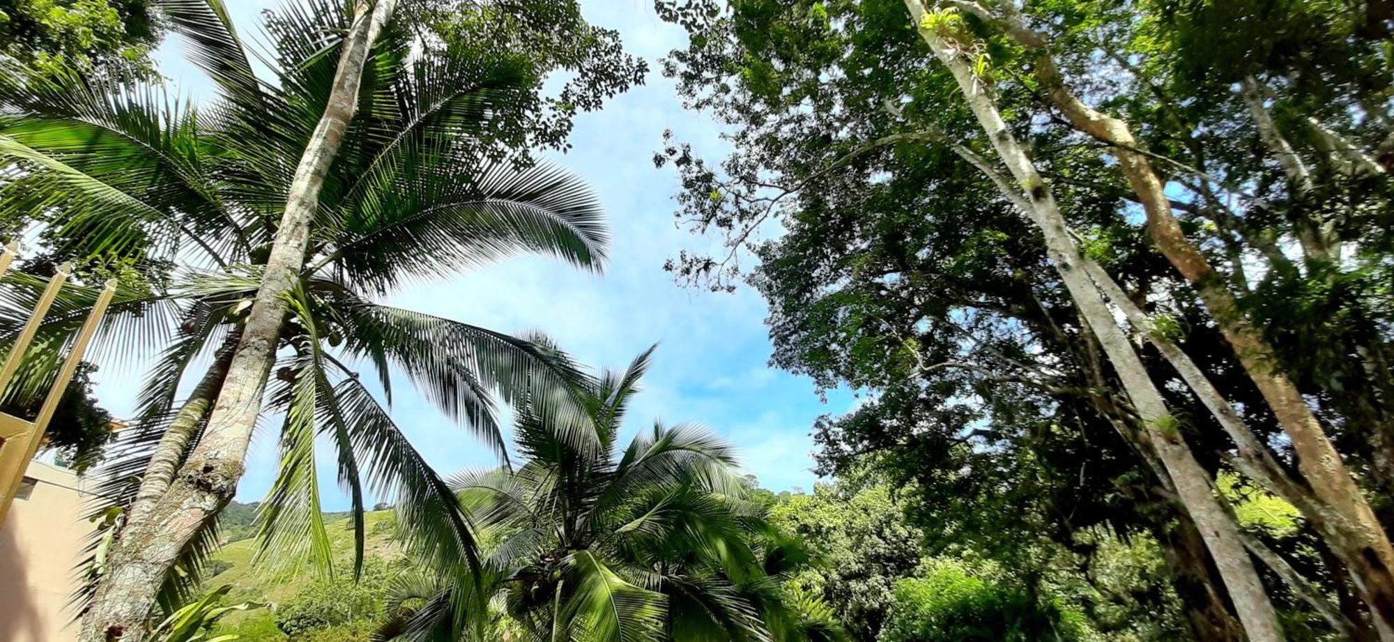 Campestre La Gaitana Hotel